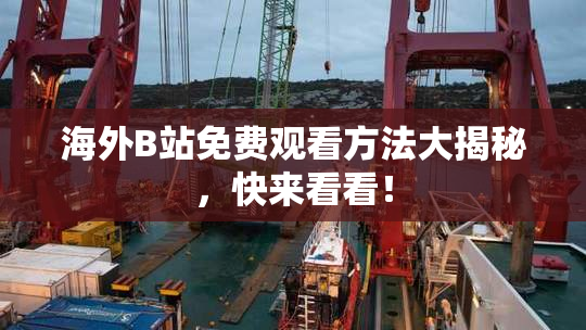 海外B站免费观看方法大揭秘，快来看看！