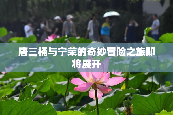唐三桶与宁荣的奇妙冒险之旅即将展开
