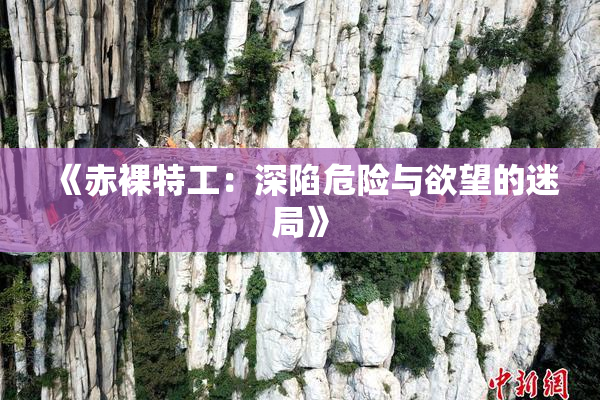 《赤裸特工：深陷危险与欲望的迷局》