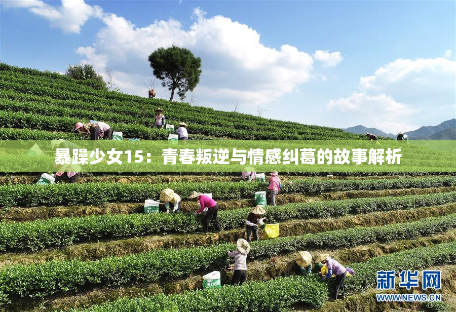 暴躁少女15：青春叛逆与情感纠葛的故事解析