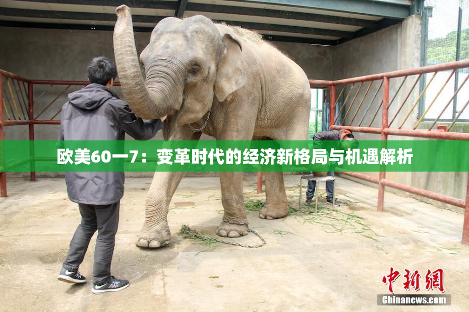 欧美60一7：变革时代的经济新格局与机遇解析