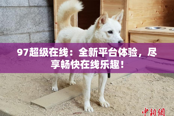 97超级在线：全新平台体验，尽享畅快在线乐趣！