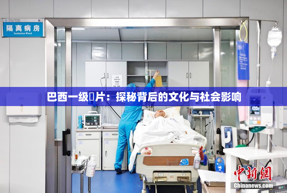 巴西一级婬片：探秘背后的文化与社会影响