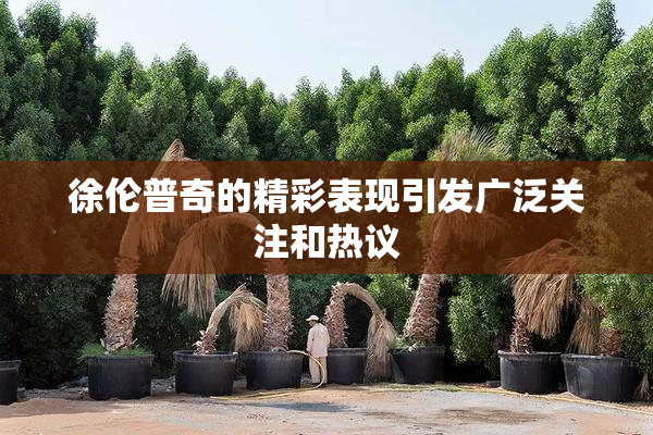 徐伦普奇的精彩表现引发广泛关注和热议