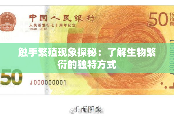 触手繁殖现象探秘：了解生物繁衍的独特方式