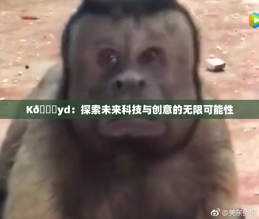 K🈚yd：探索未来科技与创意的无限可能性