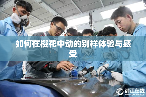 如何在樱花中动的别样体验与感受
