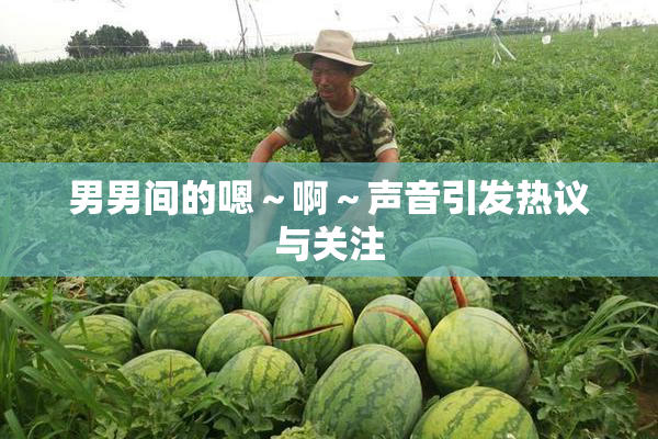 男男间的嗯～啊～声音引发热议与关注