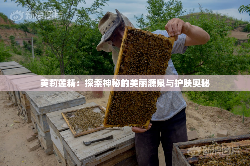芙莉莲精：探索神秘的美丽源泉与护肤奥秘