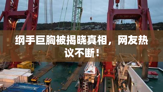 纲手巨胸被揭晓真相，网友热议不断！