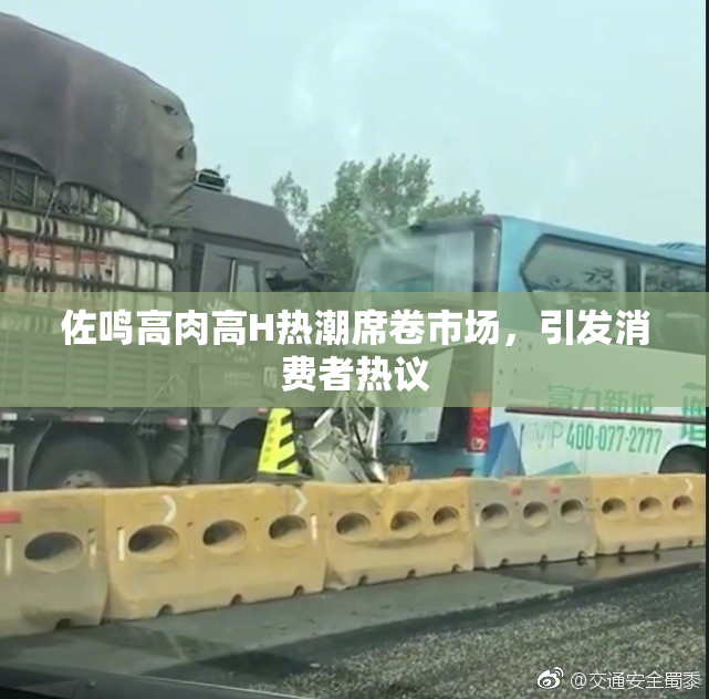 佐鸣高肉高H热潮席卷市场，引发消费者热议