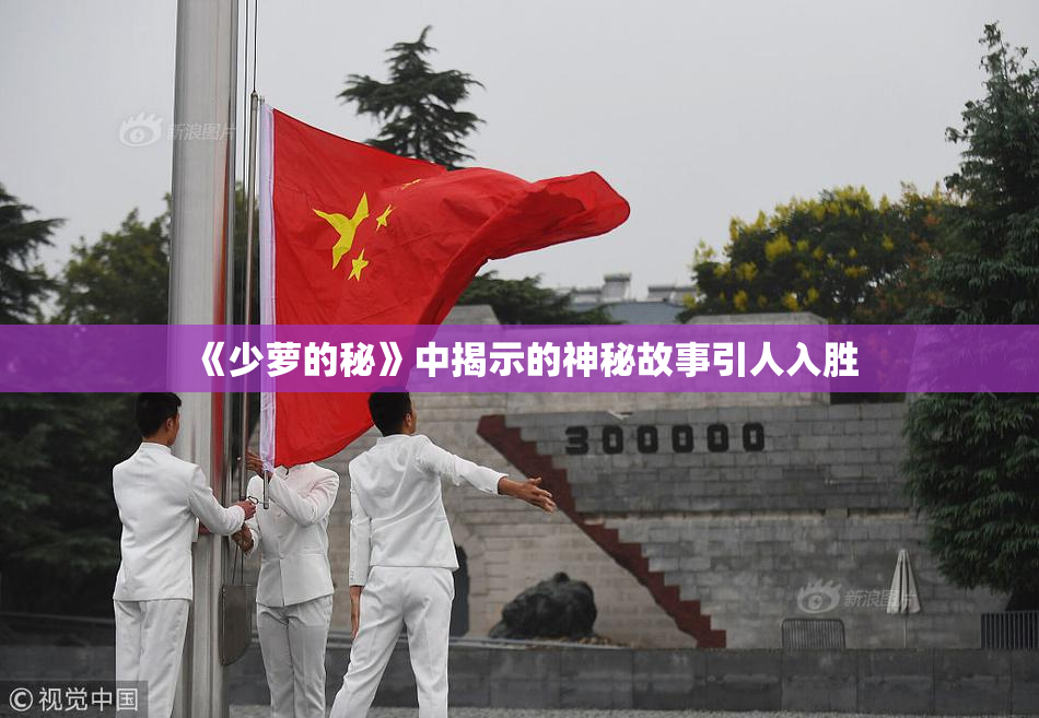 《少萝的秘》中揭示的神秘故事引人入胜