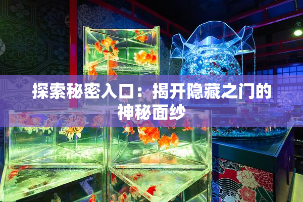 探索秘密入口：揭开隐藏之门的神秘面纱