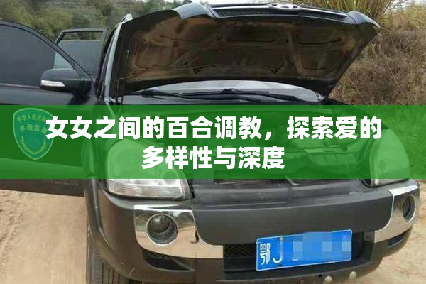 女女之间的百合调教，探索爱的多样性与深度