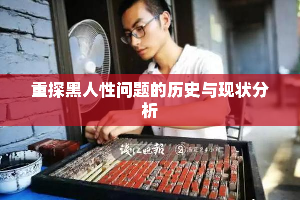 重探黑人性问题的历史与现状分析