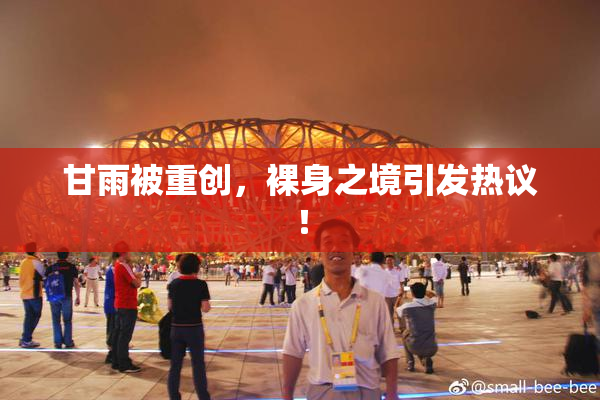 甘雨被重创，裸身之境引发热议！