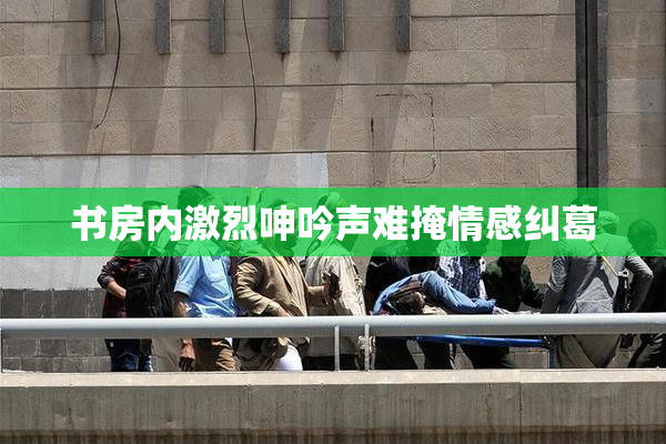 书房内激烈呻吟声难掩情感纠葛