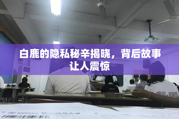 白鹿的隐私秘辛揭晓，背后故事让人震惊