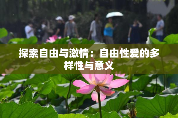 探索自由与激情：自由性爱的多样性与意义