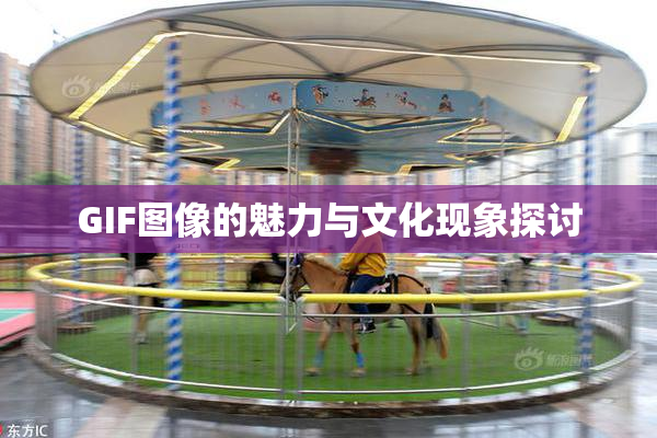 GIF图像的魅力与文化现象探讨