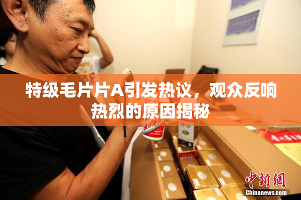 特级毛片片A引发热议，观众反响热烈的原因揭秘