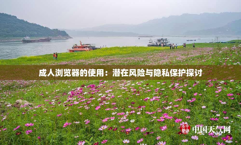 成人浏览器的使用：潜在风险与隐私保护探讨