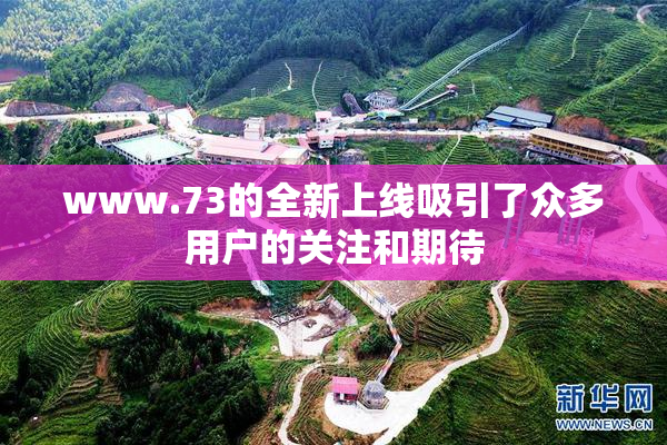 www.73的全新上线吸引了众多用户的关注和期待