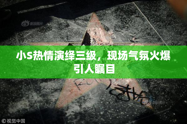 小S热情演绎三级，现场气氛火爆引人瞩目