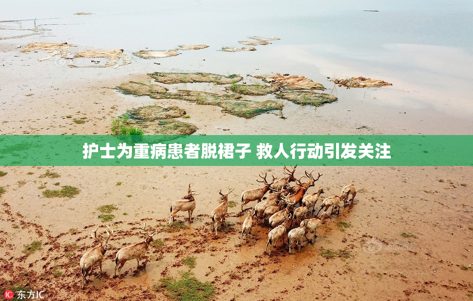 护士为重病患者脱裙子 救人行动引发关注