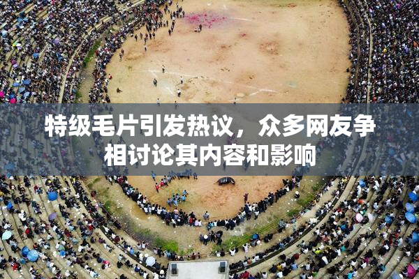 特级毛片引发热议，众多网友争相讨论其内容和影响