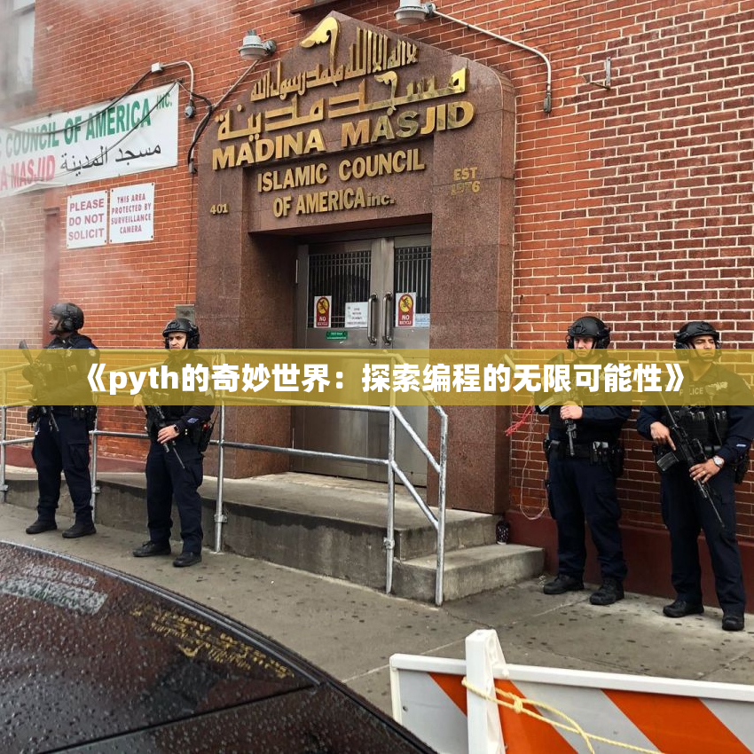 《pyth的奇妙世界：探索编程的无限可能性》