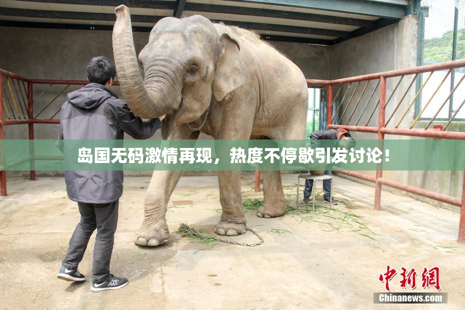 岛国无码激情再现，热度不停歇引发讨论！