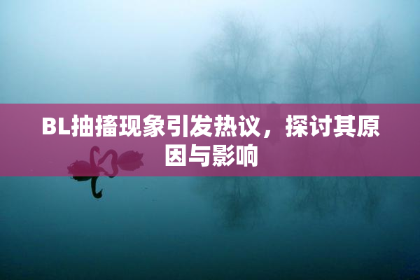 BL抽搐现象引发热议，探讨其原因与影响