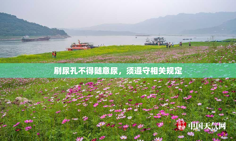刷尿孔不得随意尿，须遵守相关规定