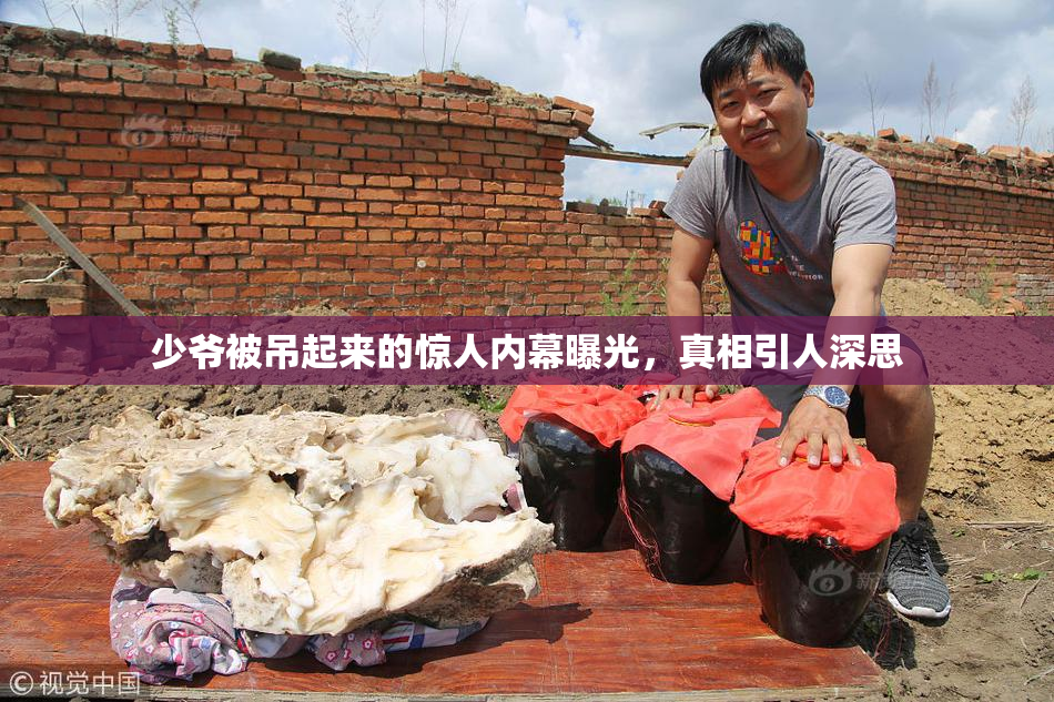少爷被吊起来的惊人内幕曝光，真相引人深思