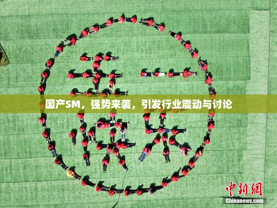 国产SM，强势来袭，引发行业震动与讨论