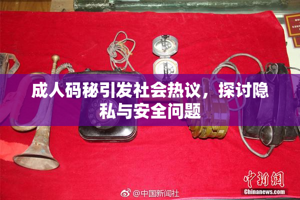 成人码秘引发社会热议，探讨隐私与安全问题
