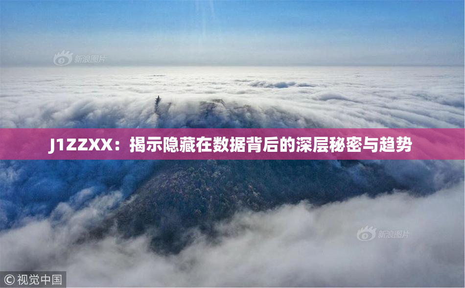 J1ZZXX：揭示隐藏在数据背后的深层秘密与趋势