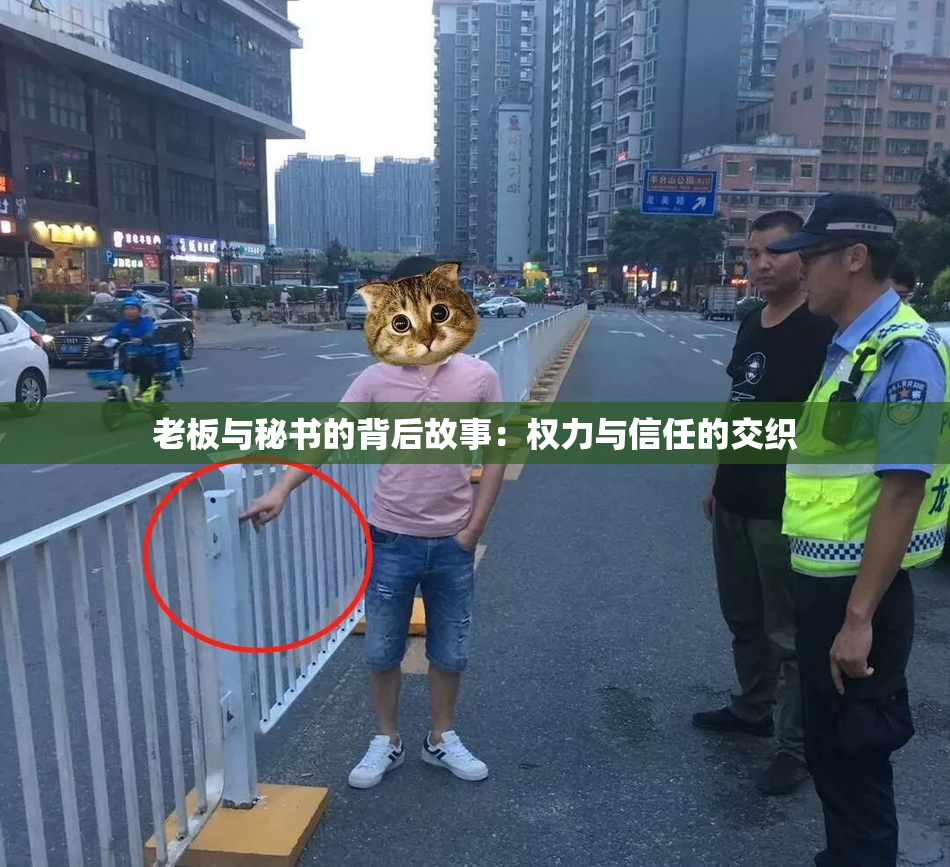 老板与秘书的背后故事：权力与信任的交织