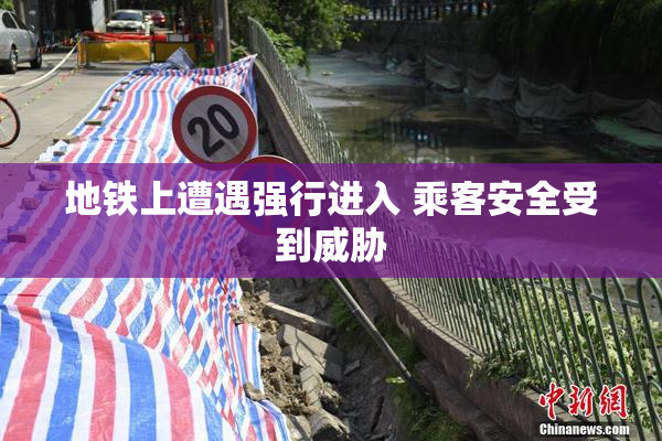地铁上遭遇强行进入 乘客安全受到威胁