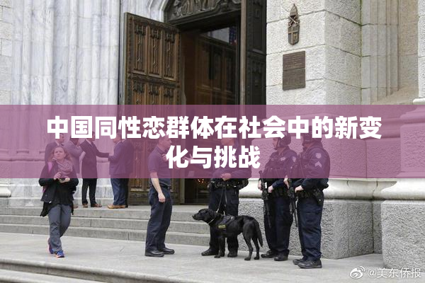 中国同性恋群体在社会中的新变化与挑战