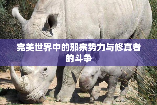 完美世界中的邪宗势力与修真者的斗争