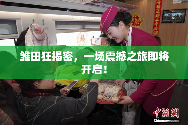 雏田狂揭密，一场震撼之旅即将开启！