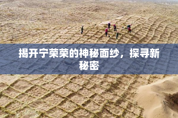 揭开宁荣荣的神秘面纱，探寻新秘密