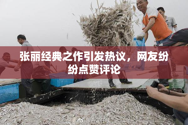 张丽经典之作引发热议，网友纷纷点赞评论