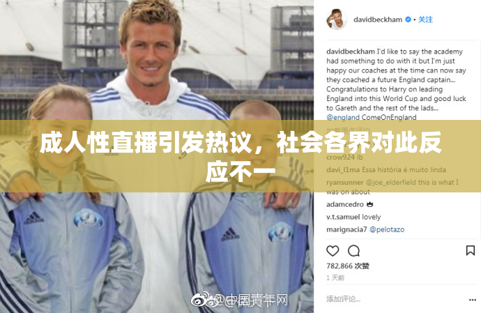 成人性直播引发热议，社会各界对此反应不一