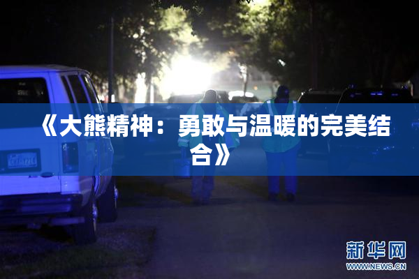 《大熊精神：勇敢与温暖的完美结合》