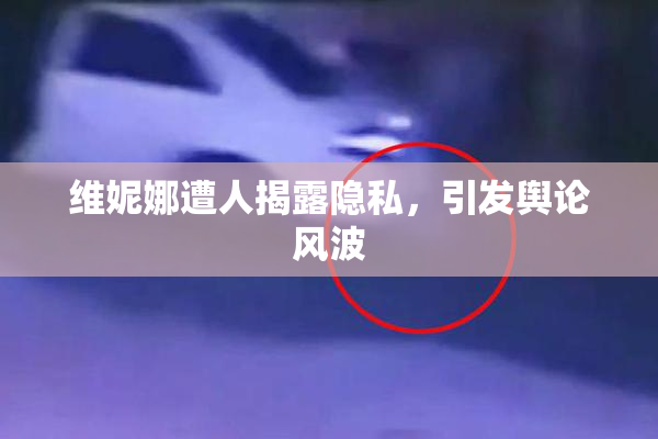 维妮娜遭人揭露隐私，引发舆论风波