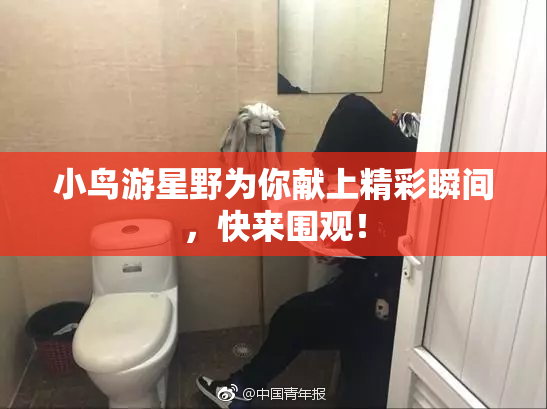 小鸟游星野为你献上精彩瞬间，快来围观！