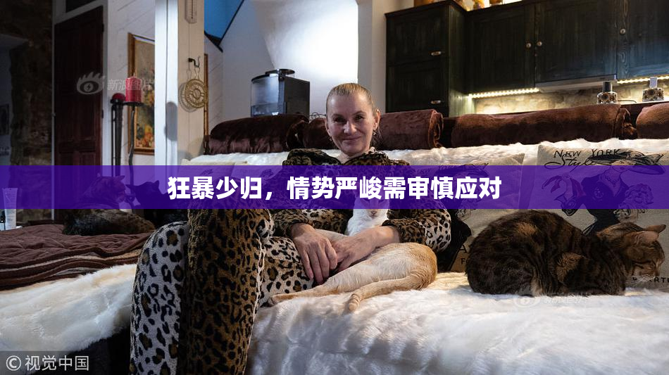 狂暴少归，情势严峻需审慎应对